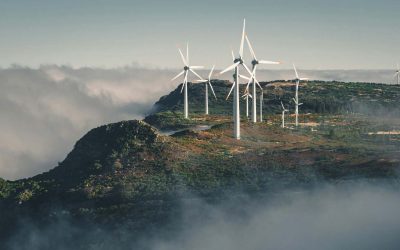 Énergies renouvelables : le Conseil d’État confirme la légalité de la simplification des conditions d’obtention d’une dérogation “espèces protégées”