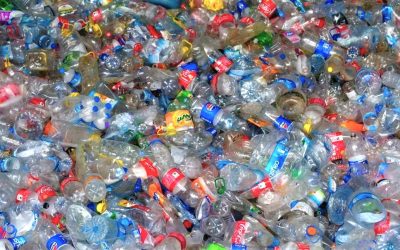 Nouveau règlement européen « PPWR » sur les emballages et déchets d’emballages – Panorama des mesures adoptées et de leurs impacts